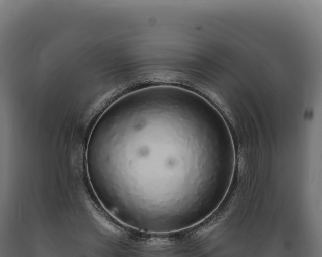 X0000089960445200707061143