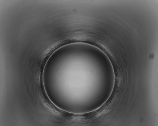 X0000089960446200707061143
