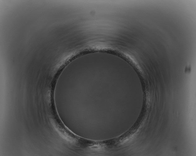 X0000089960447200707061143