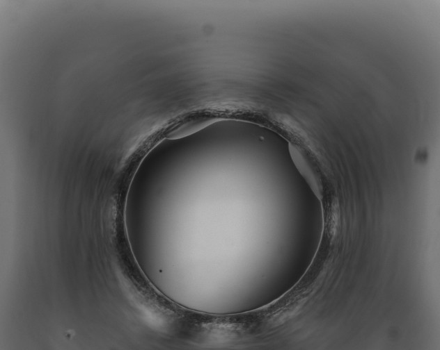 X0000089960448200707061143