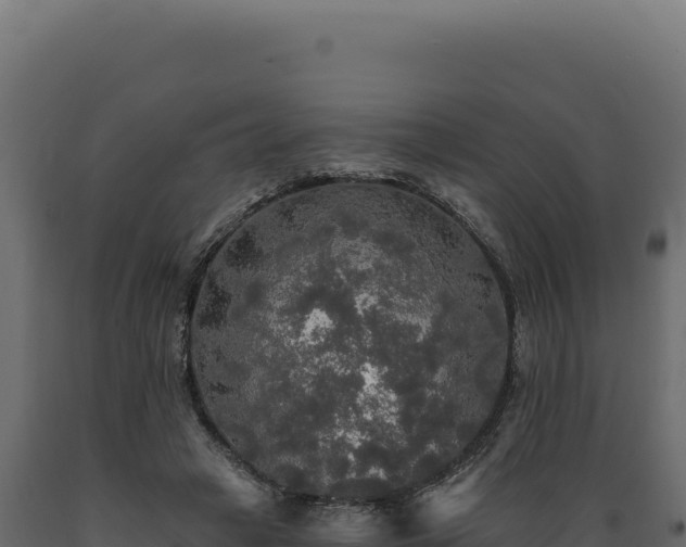 X0000089960449200707061143