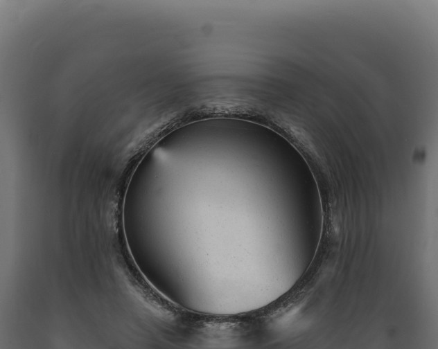 X0000089960450200707061143