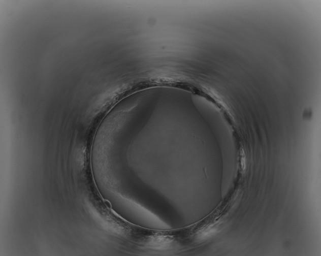X0000089960451200707061143