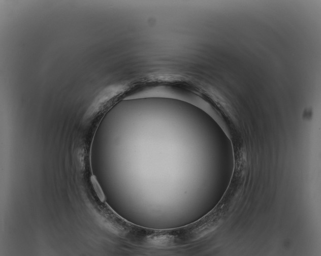 X0000089960452200707061143