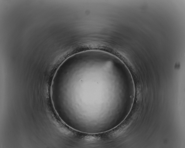 X0000089960453200707061143