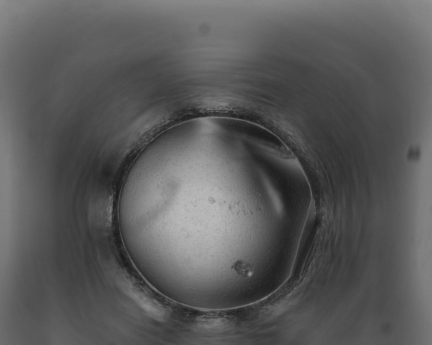 X0000089960454200707061143