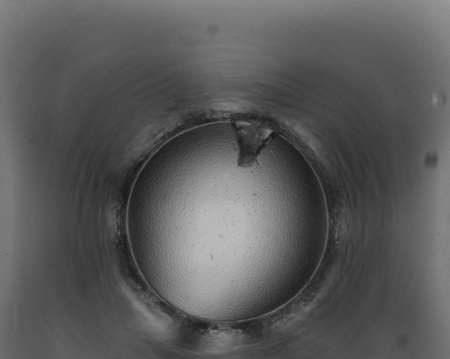 X0000089960455200707061143