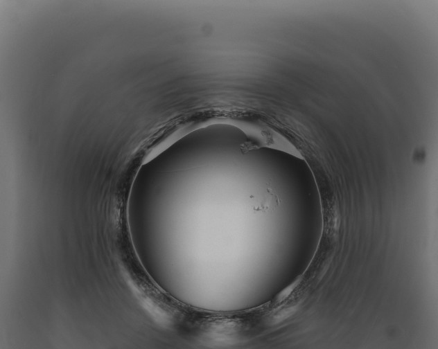 X0000089960456200707061143