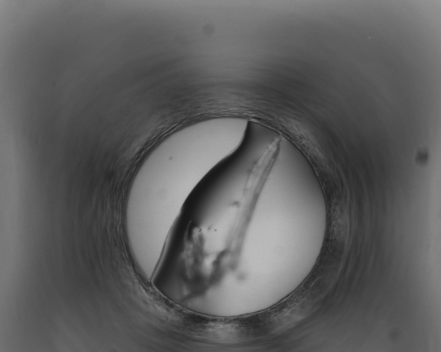 X0000089960457200707061143