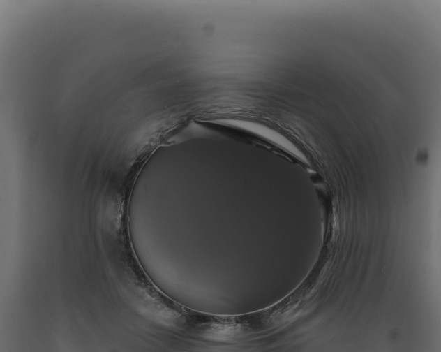 X0000089960458200707061143