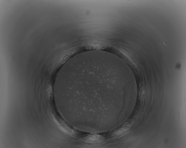 X0000089960459200707061143