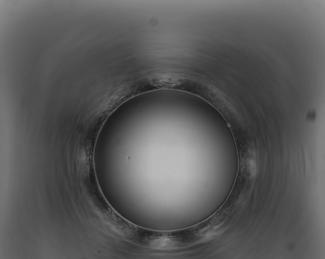 X0000089960460200707061143