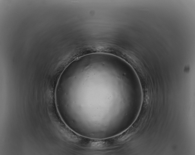 X0000089960461200707061143