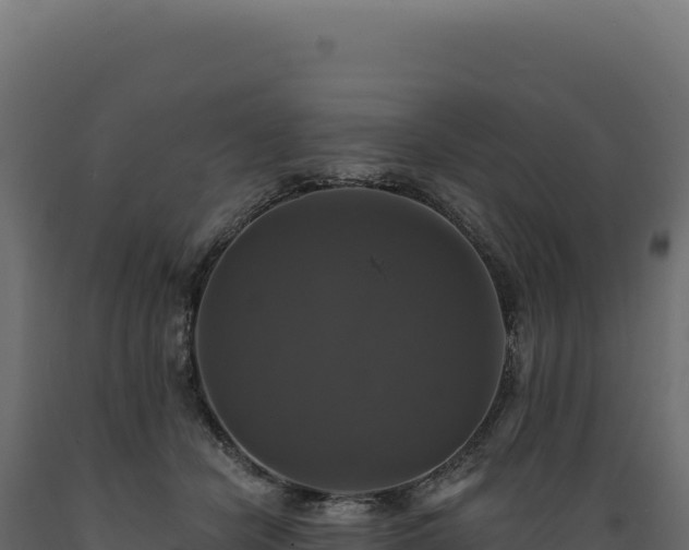 X0000089960462200707061143