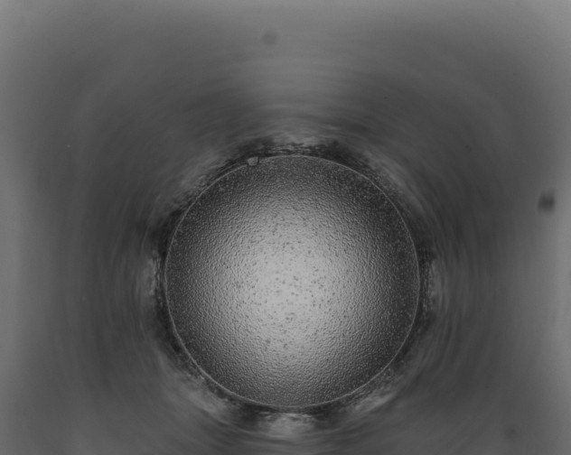 X0000089960463200707061143