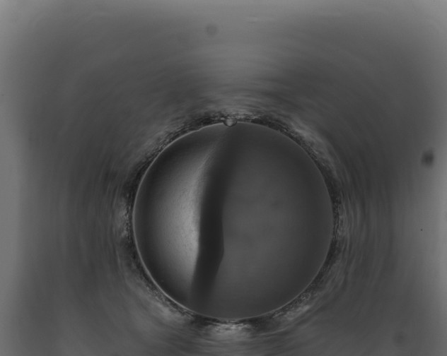 X0000089960465200707061143