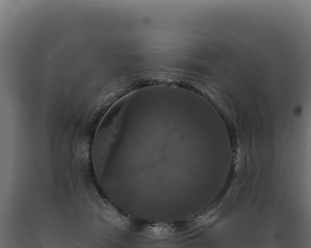 X0000089960466200707061143