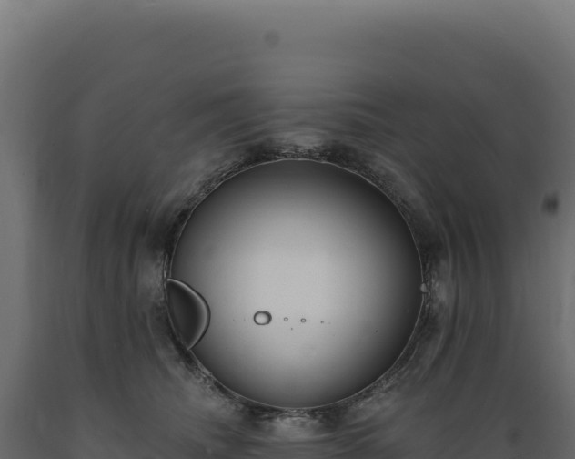 X0000089960468200707061143