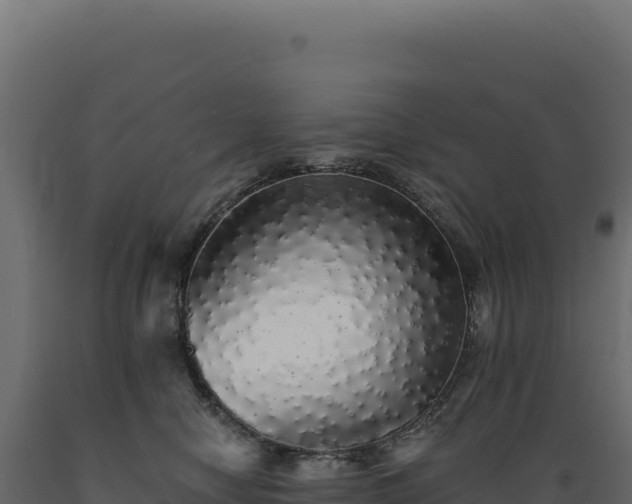 X0000089960470200707061143