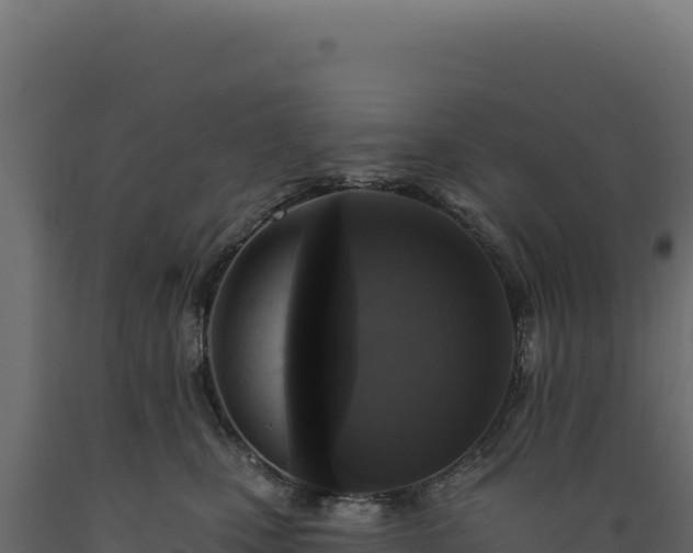 X0000089960471200707061144