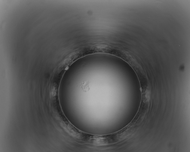 X0000089960472200707061144