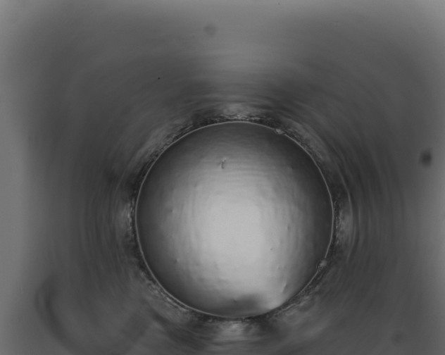 X0000089960473200707061144