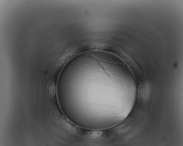 X0000089960474200707061144