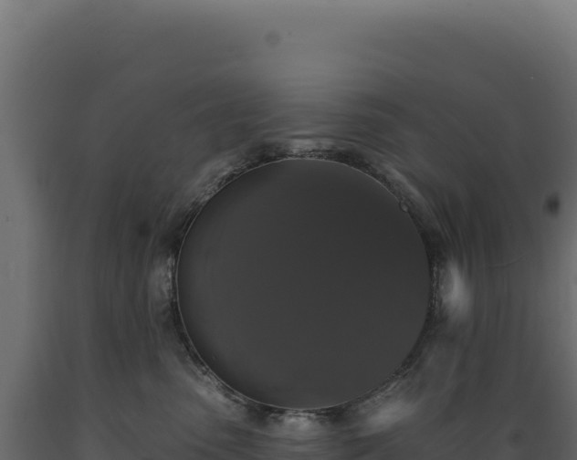X0000089960475200707061144