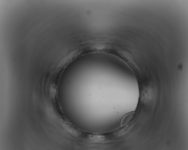 X0000089960476200707061144