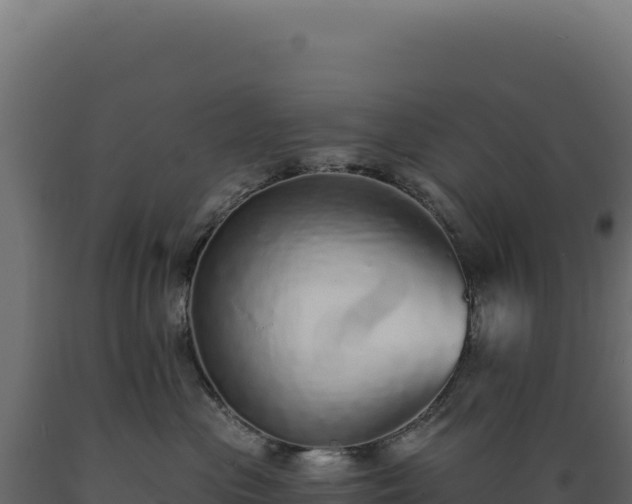 X0000089960477200707061144
