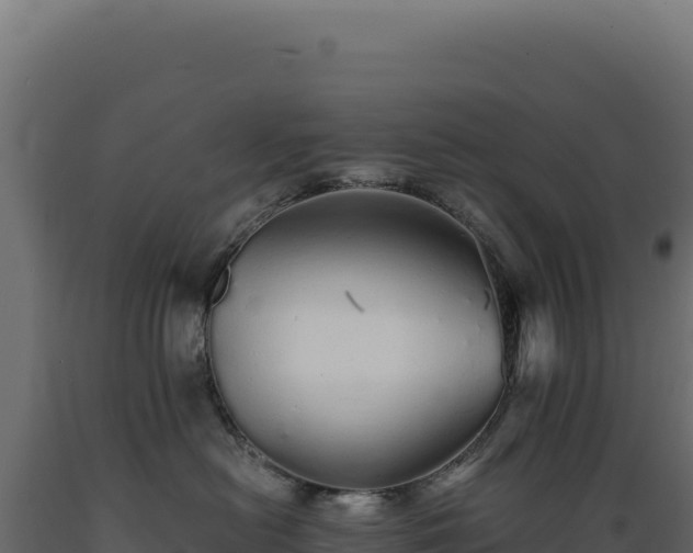 X0000089960478200707061144
