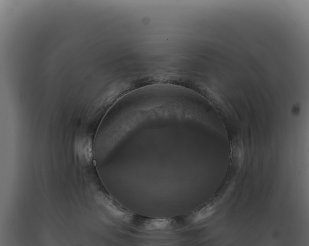 X0000089960479200707061144