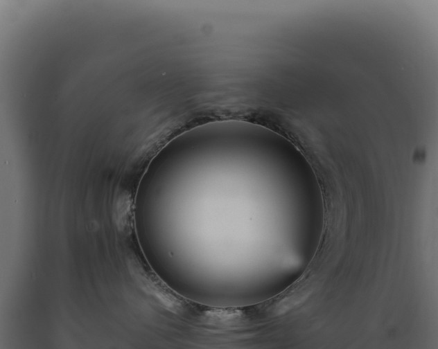 X0000089960480200707061144