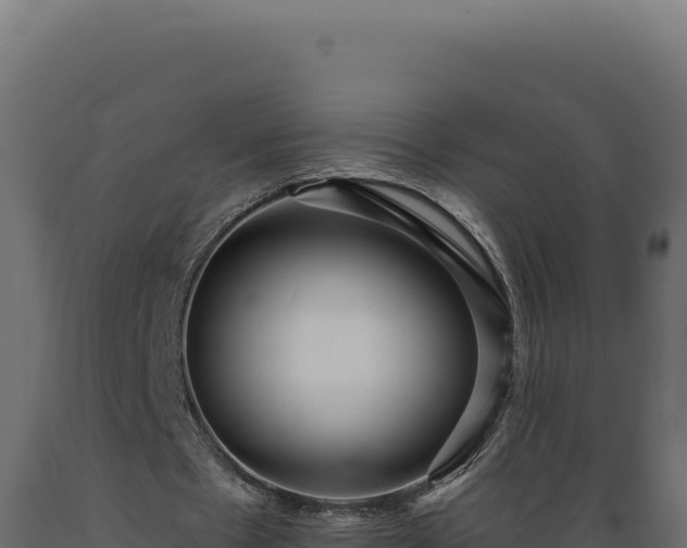 X0000089960481200707061143