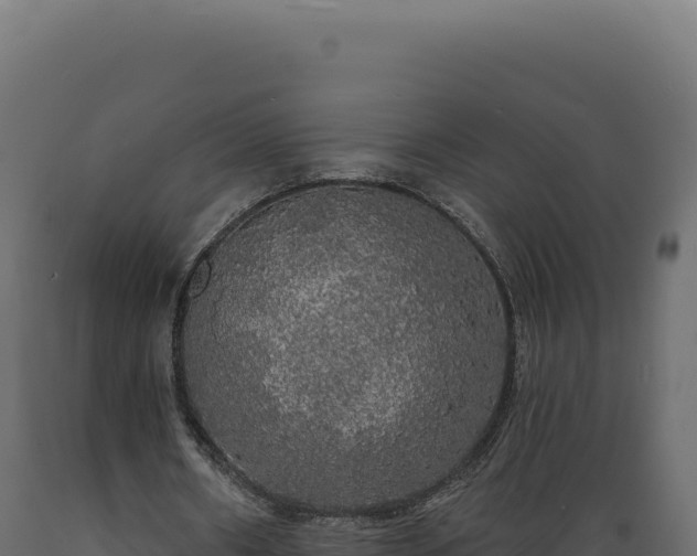 X0000089960482200707061143