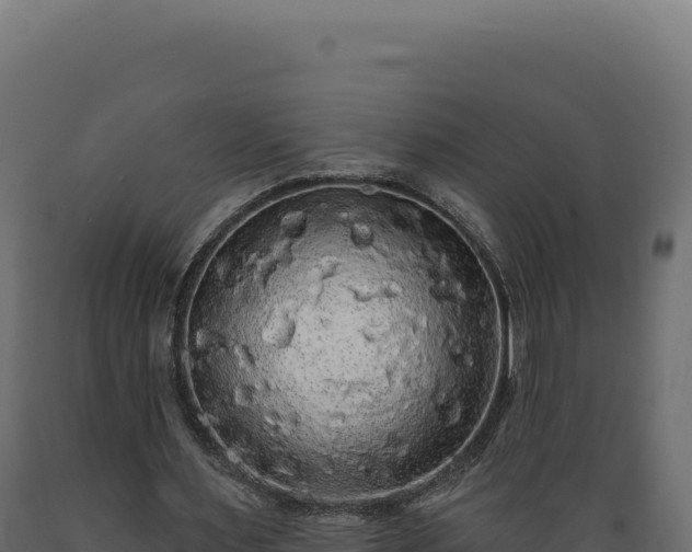 X0000089960483200707061143