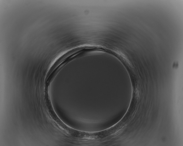 X0000089960484200707061143