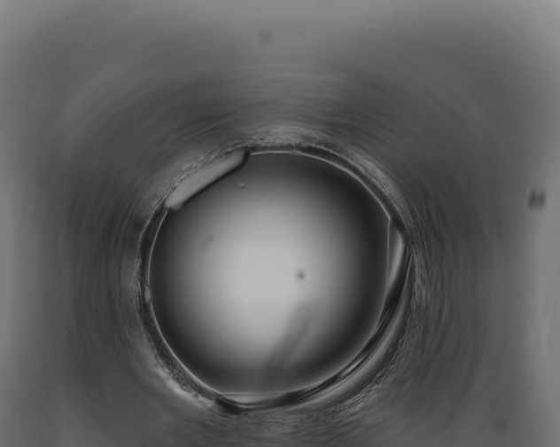 X0000089960485200707061143