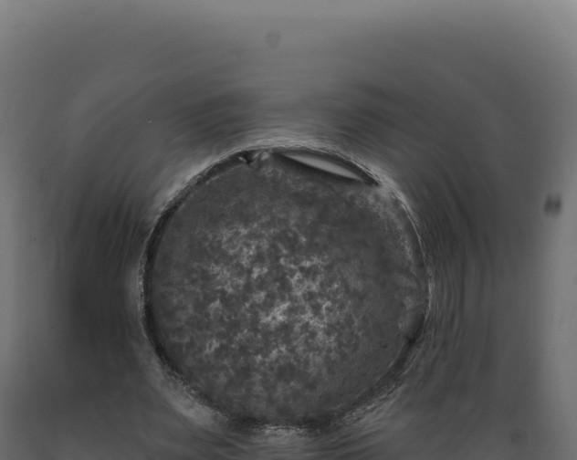 X0000089960487200707061143