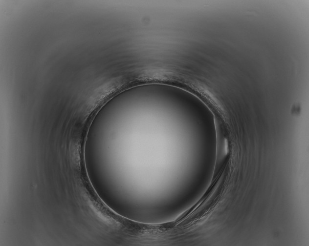 X0000089960489200707061143
