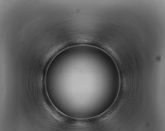 X0000089960490200707061143