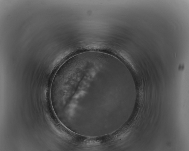X0000089960491200707061143