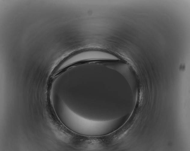 X0000089960492200707061143