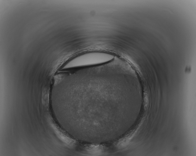 X0000089960493200707061143