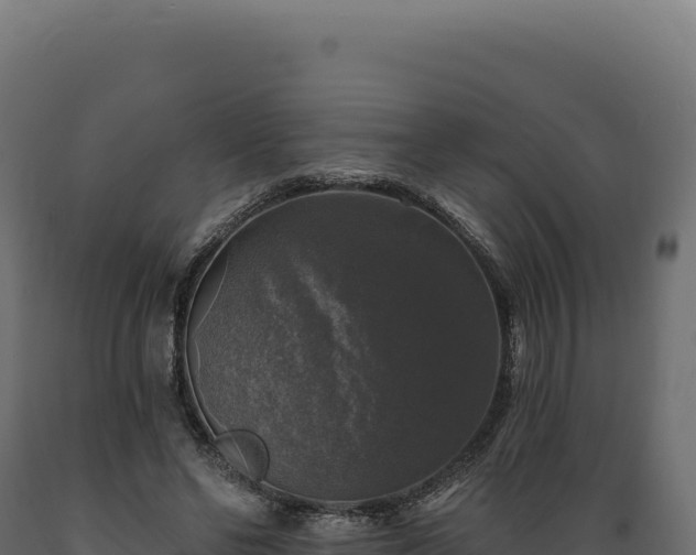 X0000089960494200707061143