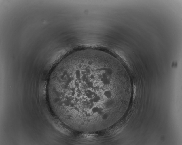 X0000089960495200707061143