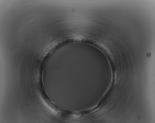 X0000089960496200707061143