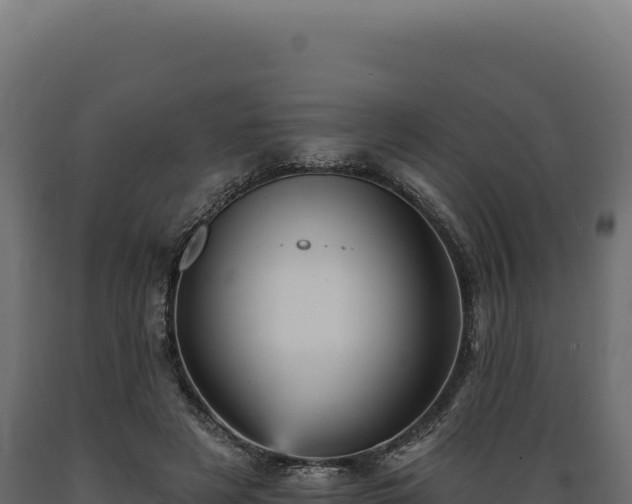 X0000089960497200707061143