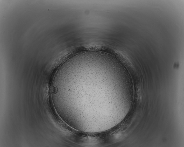 X0000089960498200707061143