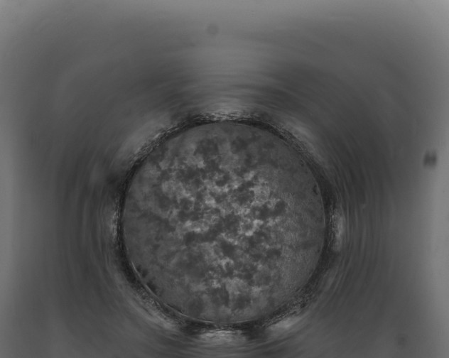 X0000089960499200707061143